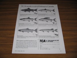 1964 Print Ad Trans-Canada Airlines Guide to Good Fishing 6 Fish Shown - $9.25