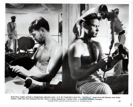 *Fassbinder&#39;s QUERELLE (1982) Sailors Brad Davis &amp; Dieter Schidor Back-t... - £51.95 GBP