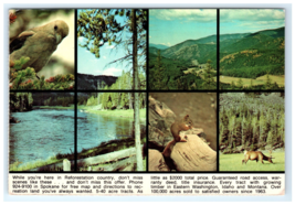 Reforestation Land for Sale Spokane WA Ad Postcard - $5.95
