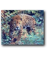 Jaguar (Panthera, Leopard) Prowling Cat Wildlife Animal Wall Decor Art, ... - £24.24 GBP