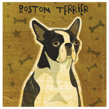 Thirstystone Boston Terrier Occasions Coasters Set (Set of 4) - £31.59 GBP