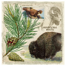 Thirstystone American Bison Occasions Coasters Set (Set of 4) - £31.59 GBP
