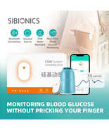 Dynamic Blood Glucose Monitoring CGMS 24h Real-time Scan-free Multilingu... - £72.67 GBP+