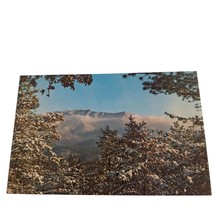 Postcard Winter Time Mount Le Conte Great Smoky Mountains Chrome Unposted - $4.84