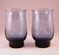 Pfaltzgraff Tumbler 2pc Set Navy Blue Etched Patterned Glass 5 1/8&quot; Dinnerware - £19.97 GBP