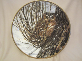 Hiding Place Collector Plate Saw Whet Owl Seerey-Lester Noble Owls - £23.19 GBP