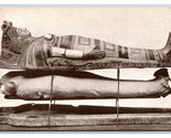 Egyptian Mummy Case Field Museum Chicago Illinois IL UNP DB Postcard Q24 - $3.91