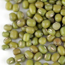 Asian Mung Bean Seeds | NON GMO Green Beans Vegetable - £2.39 GBP+