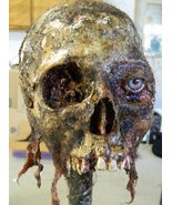 Halloween Horror Movie Prop Human Corpse Skull Head&quot;Twisted Tristen&quot; - £78.46 GBP