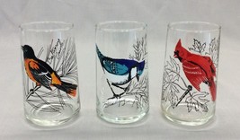 Vintage Bird Drinking Glasses Highball Set 3 Blue Jay Oriole Cardinal Birds - £17.25 GBP