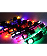 7 Colors LED Dog Pet Light Flashing Safety Collar + FREE Wooden Tag Id - $11.84