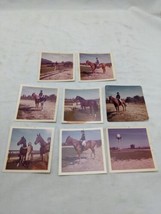 Set Of (8) Vintage October 1973 Horse Traning Riding Photos - £24.80 GBP