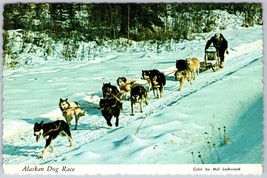 Postcard Alaskan Dog Race Sled Animals Alaska Arctic Outdoors Wilderness - £4.78 GBP