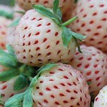 Strawberry white - £1.45 GBP