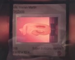 Julie Warren Martin Marchesa 35mm Art Film Slide - £11.86 GBP