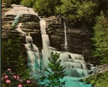 Peterskill Falls Lago Minnewaska New York Ny Mano Colore Fototipia Carto... - $14.29