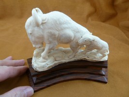 (buff-9) Albino Buffalo of shed ANTLER figurine Bali detailed carving bu... - £94.29 GBP