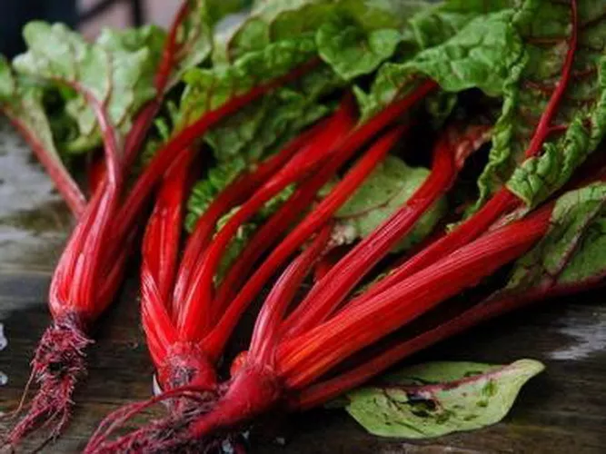 500 Swiss Chard Seeds Ruby Red Always Seeds Garden - £7.36 GBP