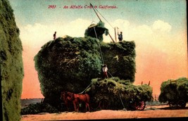 Postcard An Alfalfa Crop In Ca C. 1914 Horse Drawn Hay WAGON-BK31 - £3.16 GBP