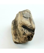 Petrified Wood 2.9 oz, 3” x 1.5&quot; x 1&quot; Wooden Rock Stone Fossil Collectible - $9.52 CAD