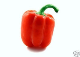 Red Bell Pepper Sweet Aji Pimiento Rojo Seed 100 Seeds Fresh Garden - $304.78 MXN