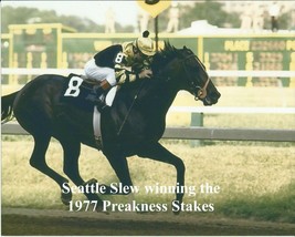 1977 - SEATTLE SLEW winning the Preakness Stakes - Color Close Up - 10&quot; x 8&quot; - £15.80 GBP
