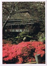 Postcard The Japanese Tea Garden Golden Gate Park San Francisco - £3.08 GBP