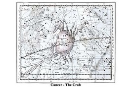 Cancer - the Crab by Alexander Jamieson - Art Print - £17.37 GBP+