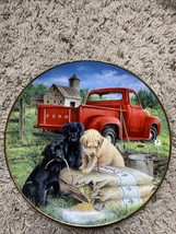 Franklin Mint Seeds Of Mischief Collectors Plate Royal Doulton Fine Bone... - $18.52