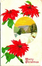 Merry Christmas Pointsettias Country Road Embossed 1915 Postcard  - £3.12 GBP