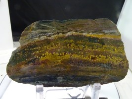 GORGEOUS RIVER JASPER SLAB MULTICOLORED ORBS AND DRUZYS 6.7 X 3.8 X .31&quot; - $65.00