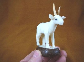 TNE-ANT-501A) standing African Antelope TAGUA NUT Figurine carving VEGET... - £22.64 GBP