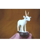 TNE-ANT-501A) standing African Antelope TAGUA NUT Figurine carving VEGET... - $39.69 CAD
