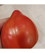 40 German Strawberry Tomato Seeds (Solanum lycopersicum) Small batch - $1.99
