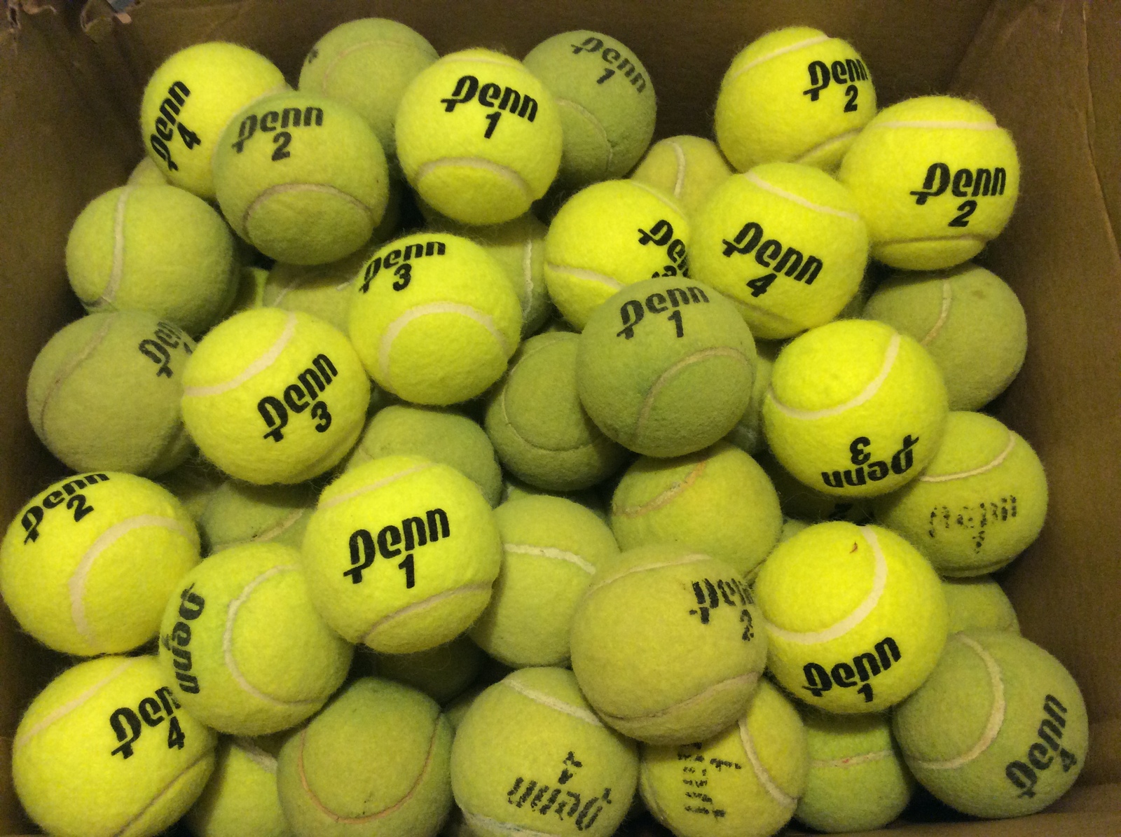 100 CLEAN USED PENN TENNIS BALLS - FREE SHIPPING - ACTUAL BALLS BEING SH... - $34.88