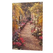 Postcard Longwood Gardens Kennett Square Pennsylvania Primulas Cyclamen ... - $4.88