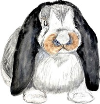 French Lop Bunny Rabbit Decal Sticker for Car/Truck Laptop or Phone - £5.51 GBP+