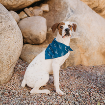 Alpha Pak Silky Adventure Bandana - £14.86 GBP+