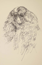 English Toy Spaniel Dog Art Print #36 Kline draws dogs name free. KING C... - £39.46 GBP