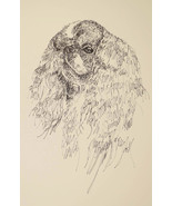 English Toy Spaniel Dog Art Print #36 Kline draws dogs name free. KING C... - £39.80 GBP