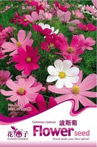 1 Pack 50 Seeds Cosmos Sensation Mix Flower Seeds Bipinnatus Mexican Aster Herb  - $11.98