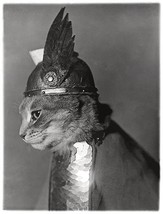 Brunnhilde - Cat Viking Helmet And Shield - 1936 - Portrait Poster - $9.99