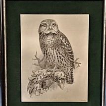 John Ward Owl Etching Handmad Etching on Skandinavian Nickel Zinc Plaque  - £35.97 GBP