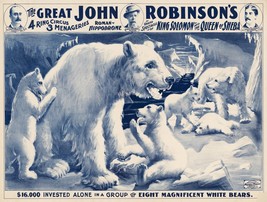 Wall Decoration Poster.Room art design.Circus White Polar bears.Wildlife.11703 - £13.51 GBP+