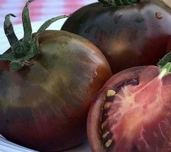 BStore Black Prince Tomato Seeds 45 Indeterminate Vegetable Garden - £6.73 GBP