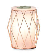 Scentsy Wire You Blushing Warmer and - $32.99