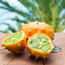 Rare Kiwano Horned Melon Seeds (5 Ct) - Vibrant &amp; Juicy, Ideal for Home Gardens, - £5.13 GBP