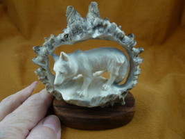 wolf-w46 howling Wolf shed ANTLER crown figurine Bali detailed carving w... - £119.94 GBP