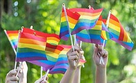 Rainbow Pride 4x6 Inch Stick Flag - 12 Pack - $21.50