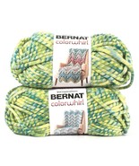 2 Ct Yarnspirations 8.8 Oz Bernat Colorwhirl 31015 Hedgerow 6 Super Bulk... - $47.97 CAD